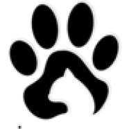 gizmocaa kullanıcısının profil fotoğrafı